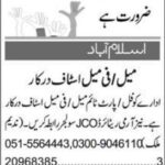 Office Staff Jobs