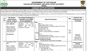 PERA Force Jobs 2025