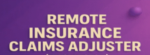 remote insurance claim adjuster