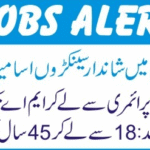 Latest Jobs
